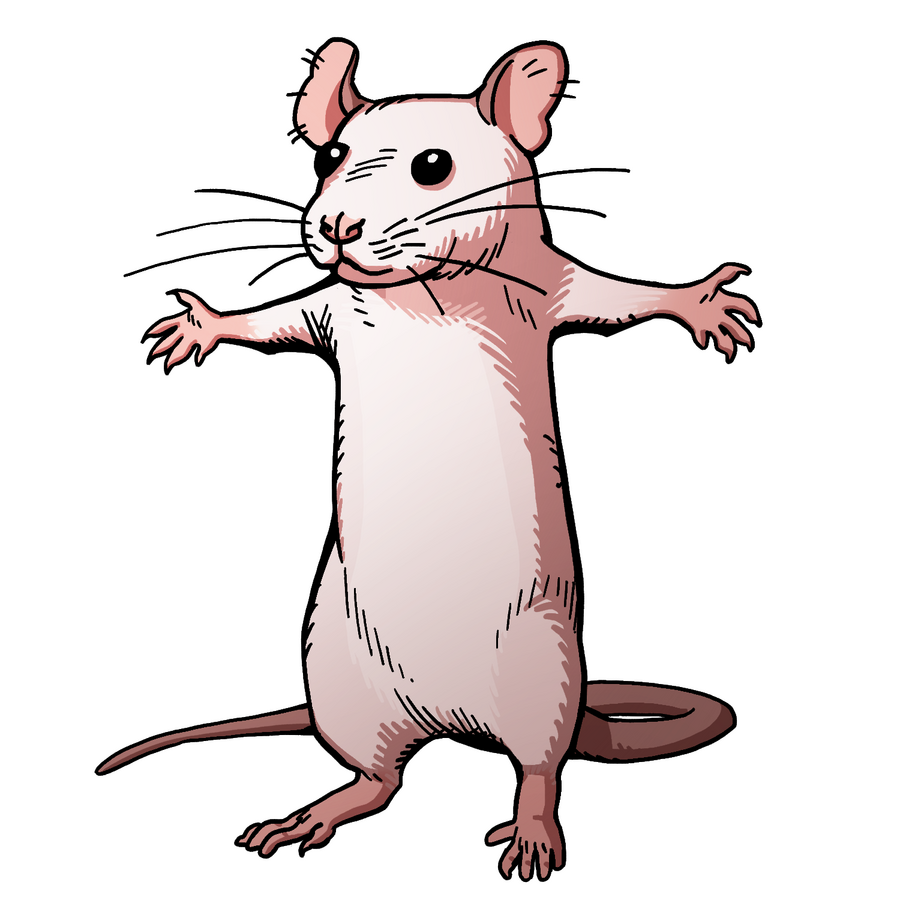 {NOTE: change this to WIZARD or ROGUE depending on player choice}